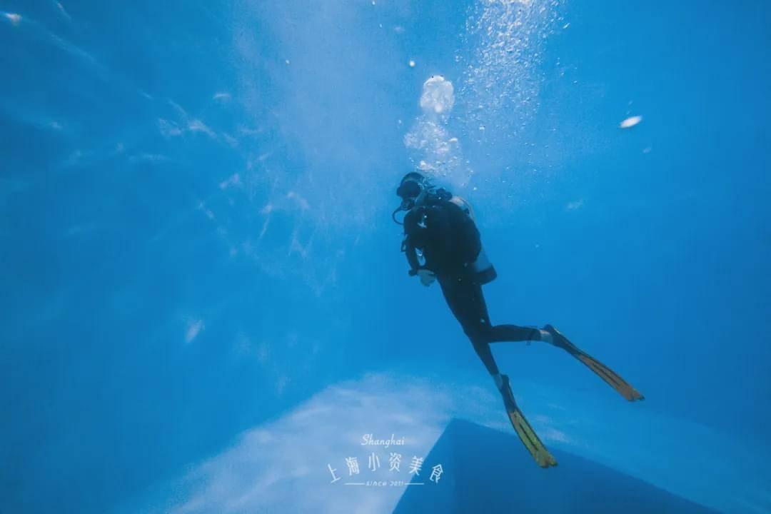 拯救小萌虎